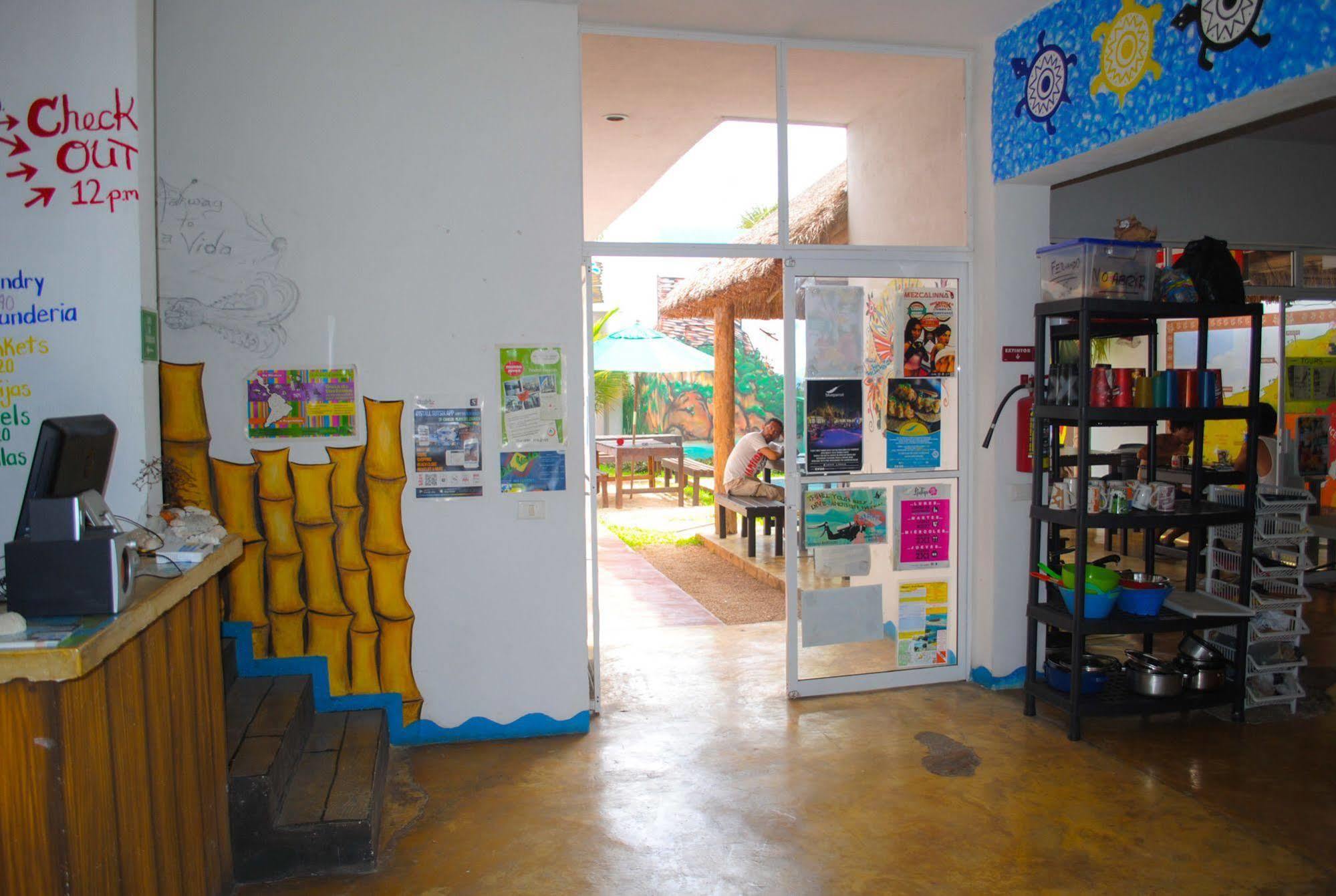Hostal Vive La Vida Playa del Carmen Exteriör bild