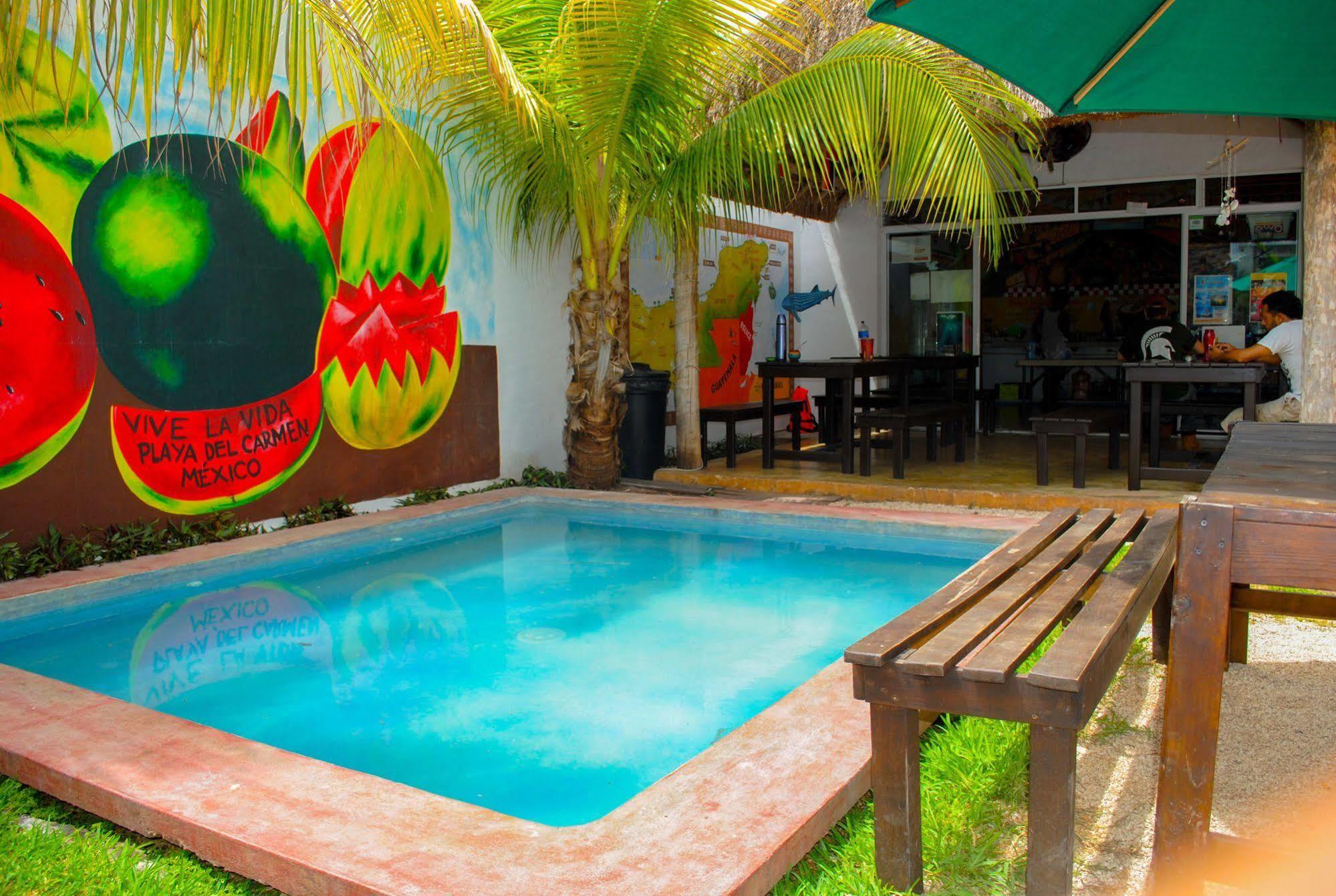 Hostal Vive La Vida Playa del Carmen Exteriör bild