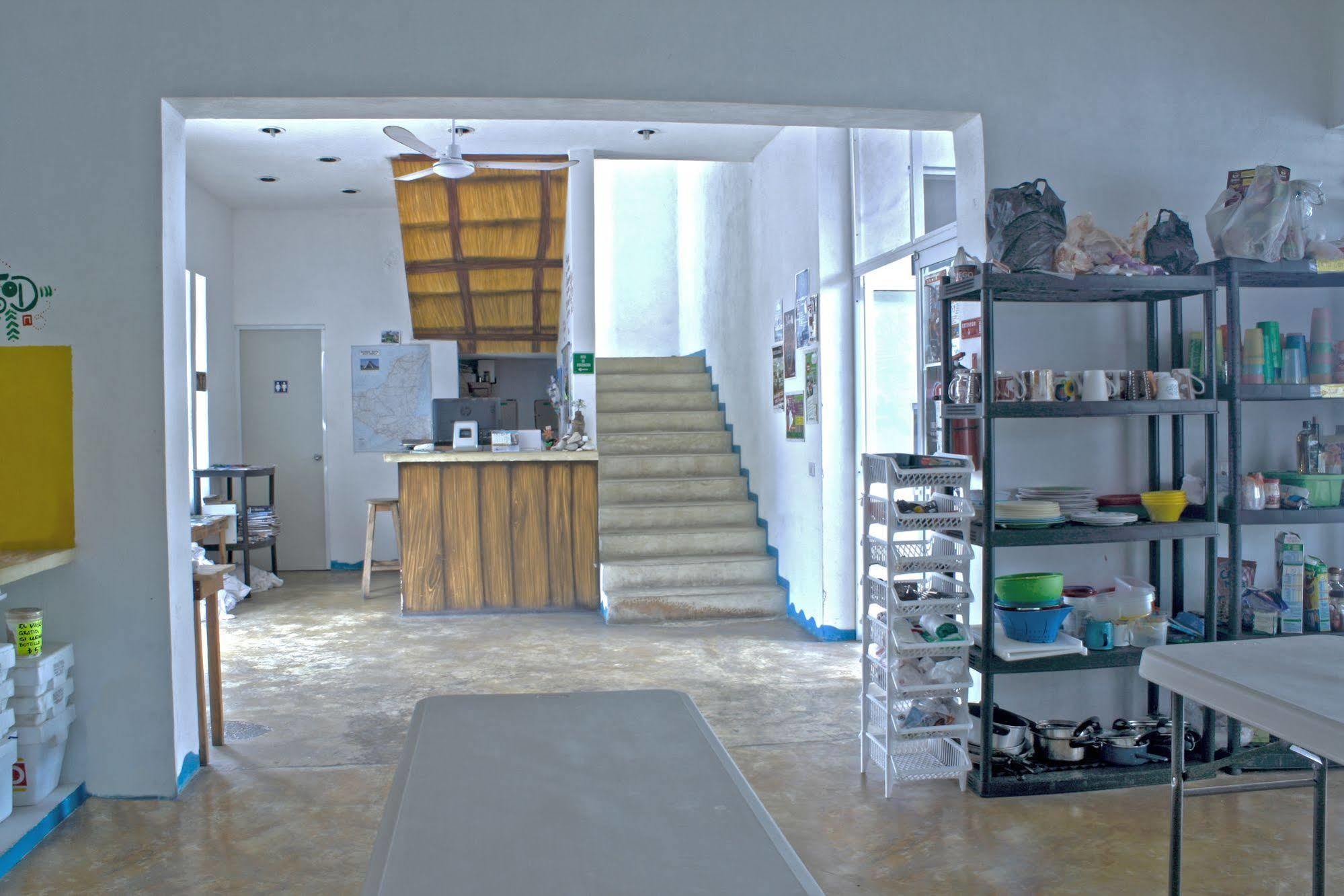 Hostal Vive La Vida Playa del Carmen Exteriör bild