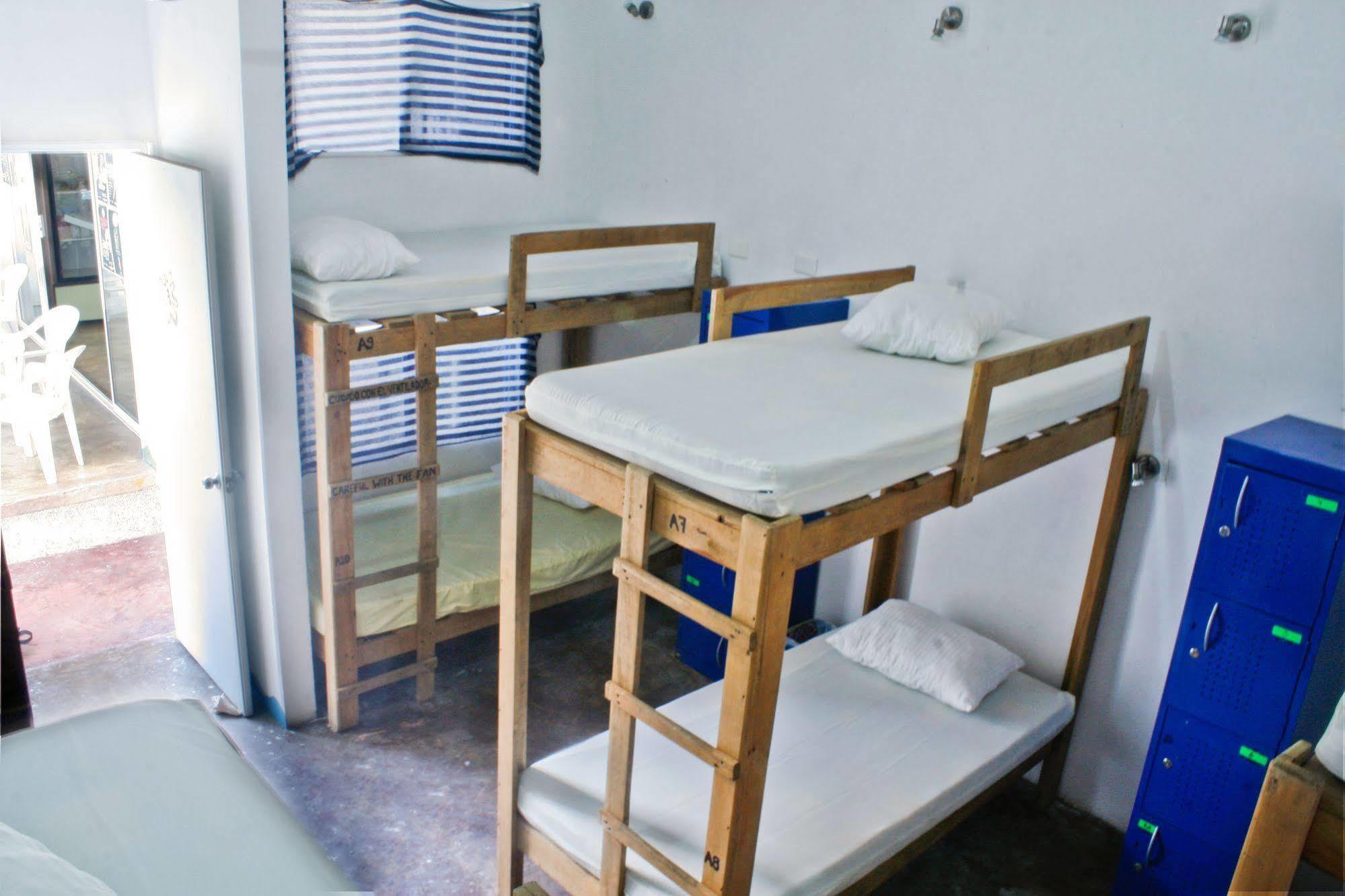 Hostal Vive La Vida Playa del Carmen Exteriör bild